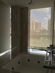 Angullia Park Residences @ Orchard (D10), Apartment #110948612